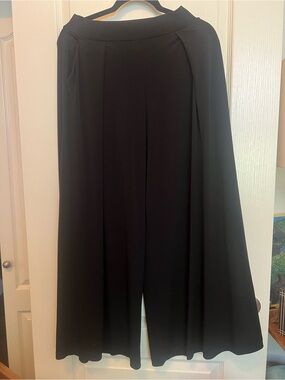 Express Flowy Pants